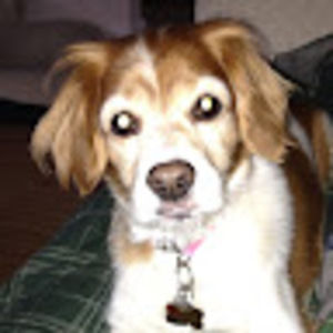 Meet your Posher, B.